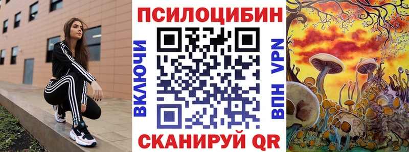 магазин продажи наркотиков  Ленинградская  Псилоцибиновые грибы Magic Shrooms 