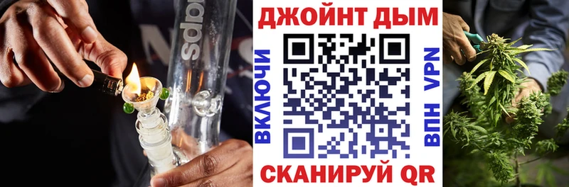 Конопля сатива ссылка на мегу рабочий сайт Ленинградская